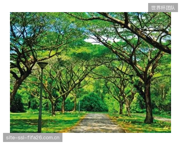 新加坡体育城项目展示了在热带高温气候中，如何利用应变监测数据精准控制AEA混凝土的施工窗口期